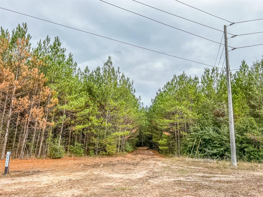011 Cr 2307 Property Photo 2