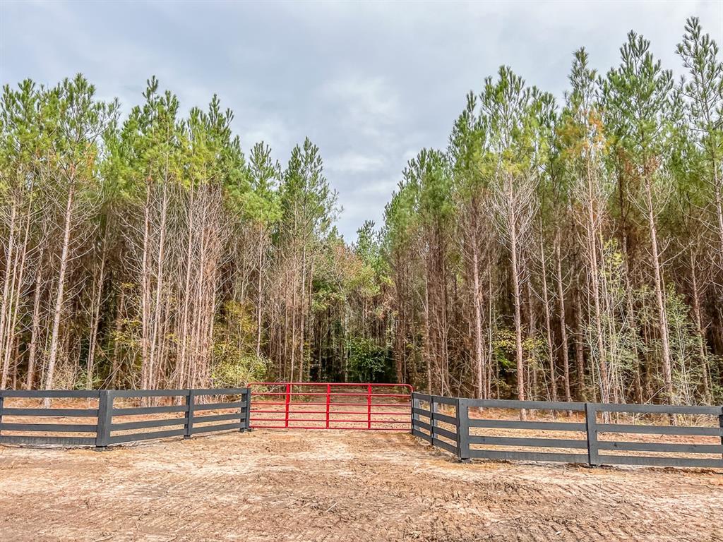 020 Cr 2307 Property Photo 15
