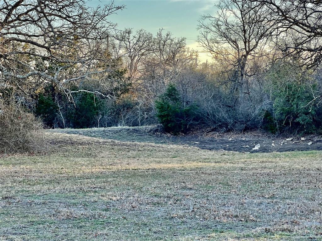 Tbd County Road 275 Property Photo 4