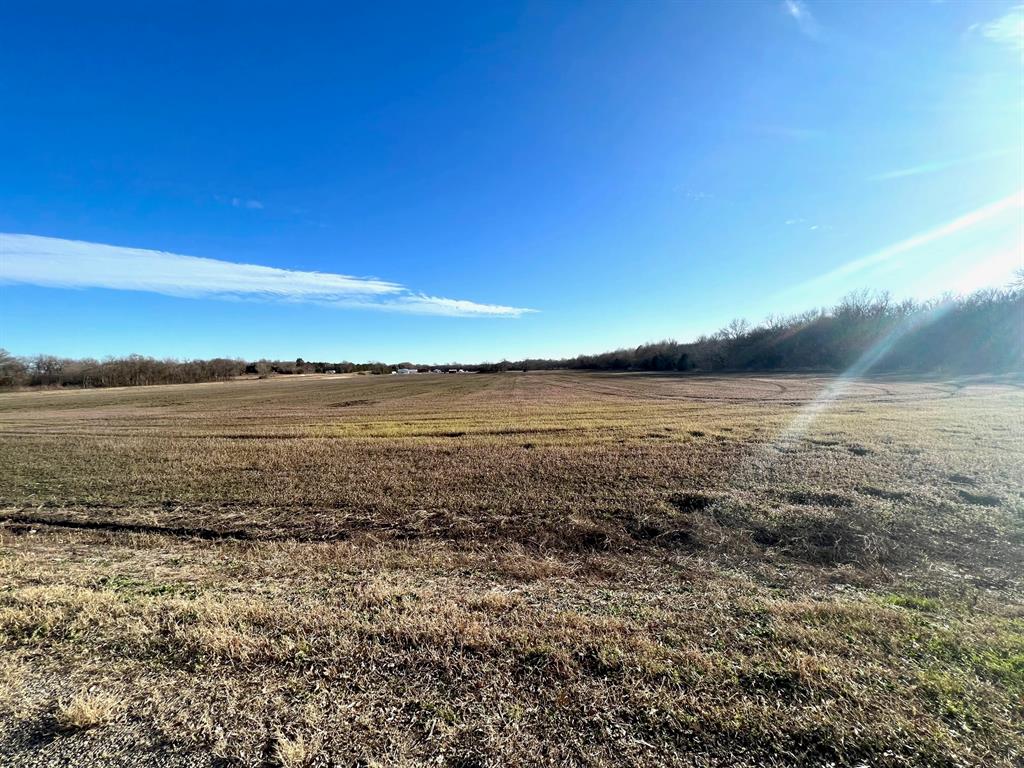 Tbd Fm 1553 & Hwy 11 Property Photo 3