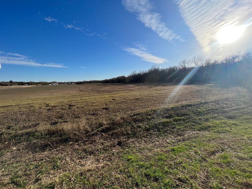 Tbd Fm 1553 & Hwy 11 Property Photo 8