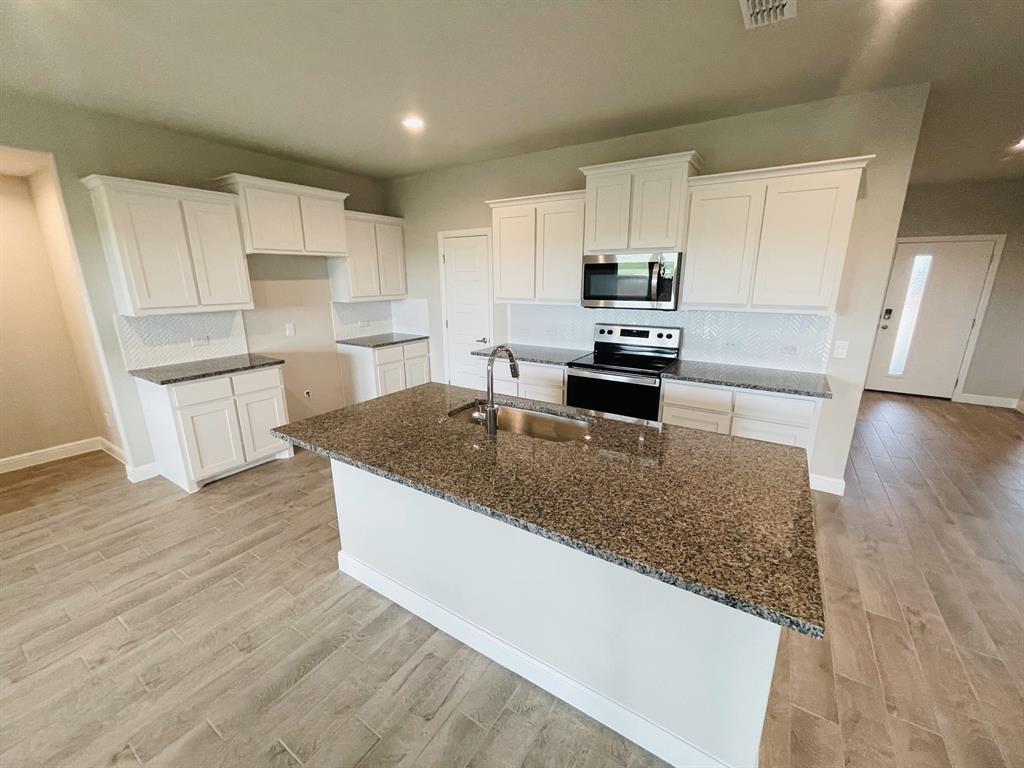 1729 Zilker Park Trail Property Photo 2