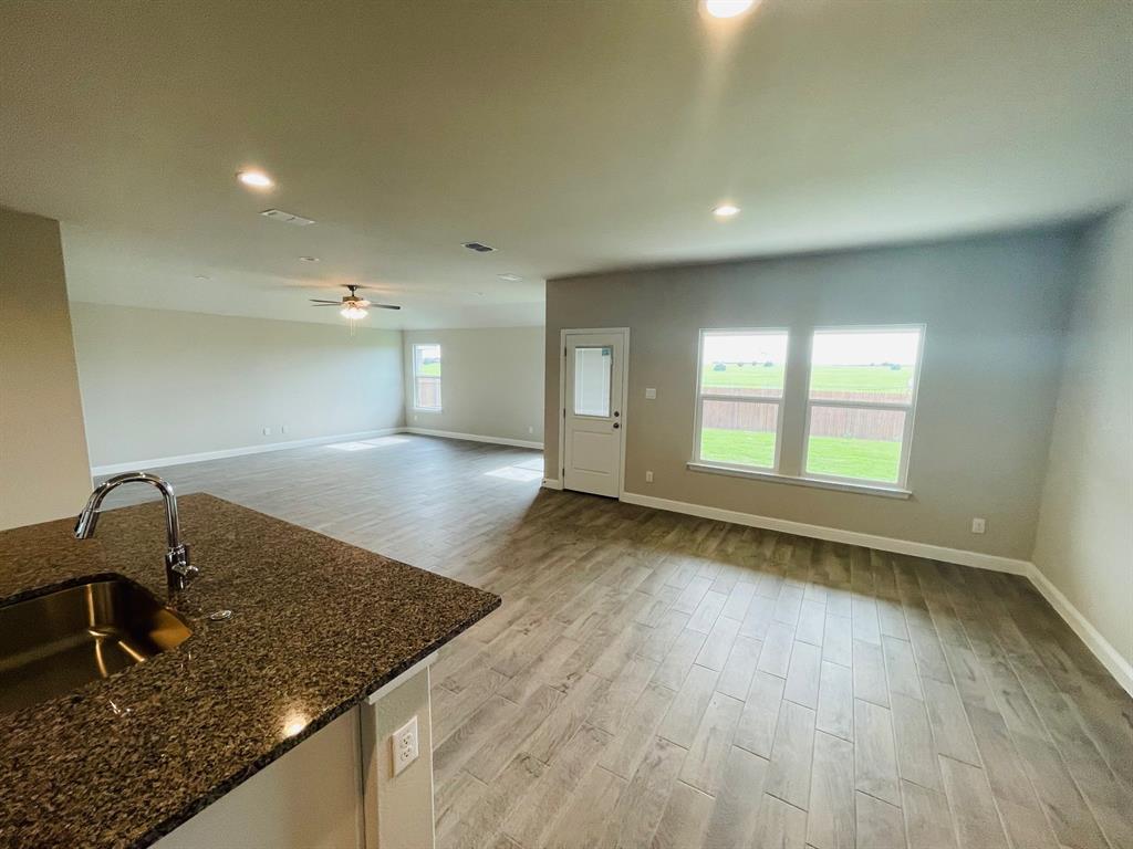 1729 Zilker Park Trail Property Photo 3
