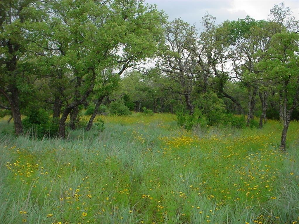 6H Stagecoach Trail Property Photo 1