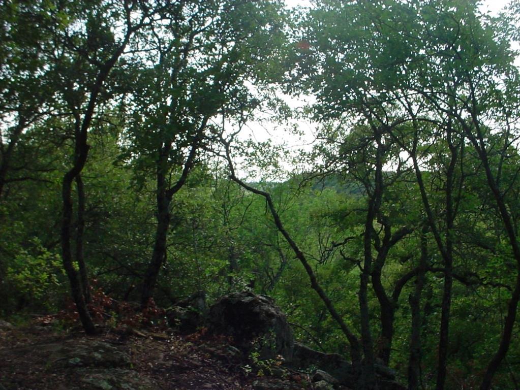 6h Stagecoach Trail Property Photo 2