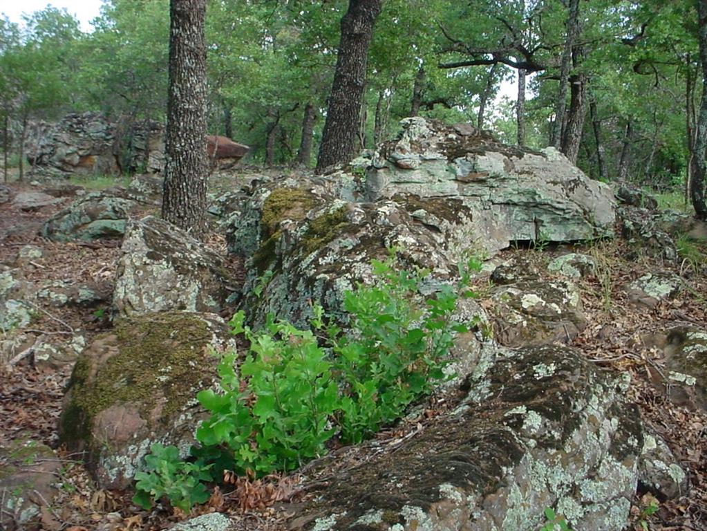 6h Stagecoach Trail Property Photo 4