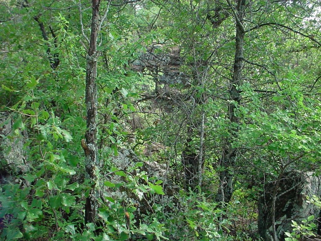 6h Stagecoach Trail Property Photo 5