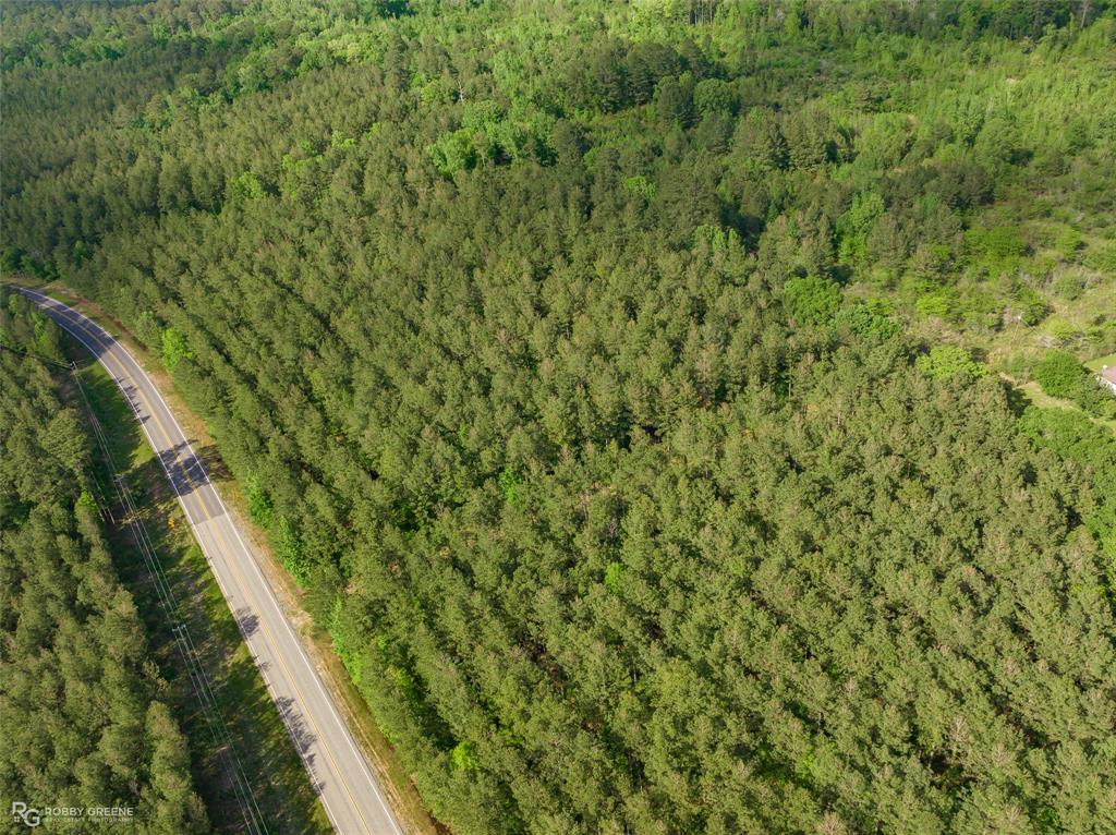 14319 La Highway 157 Property Photo 4