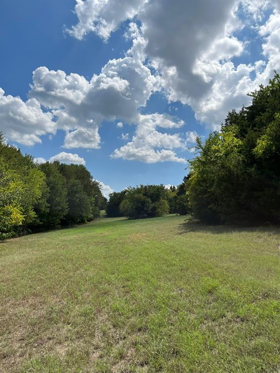5051 Loy Lake Road Terrell Road Property Photo 2
