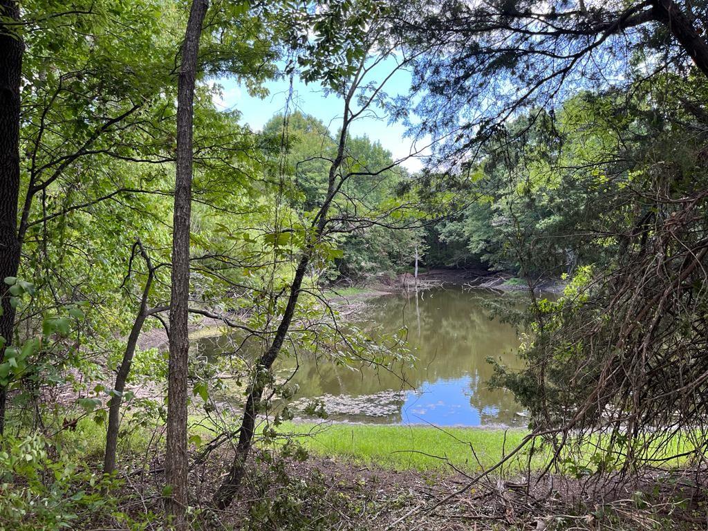 5051 Loy Lake Road Terrell Road Property Photo 4