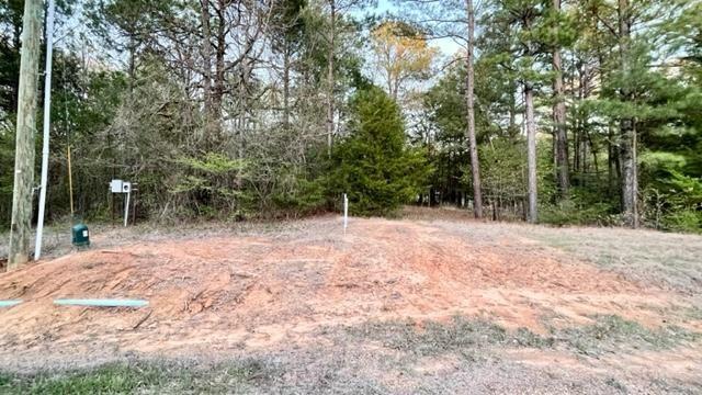 Lot 148 Navasota Property Photo 1