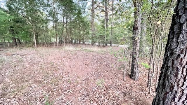 Lot 149 Navasota Property Photo 2