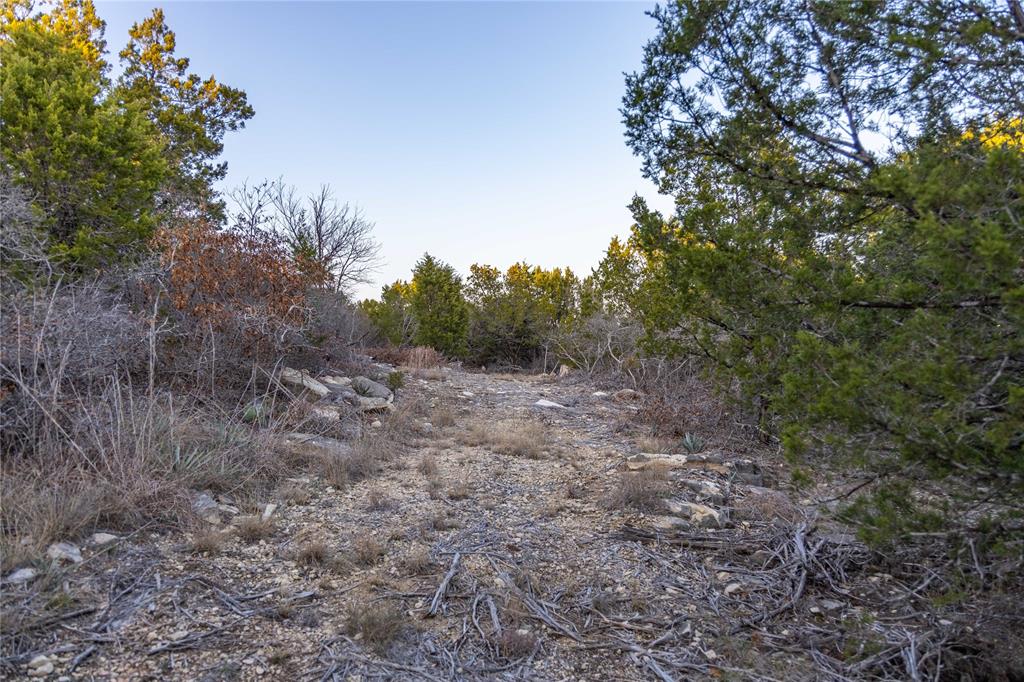 4655 Skyline Property Photo 22