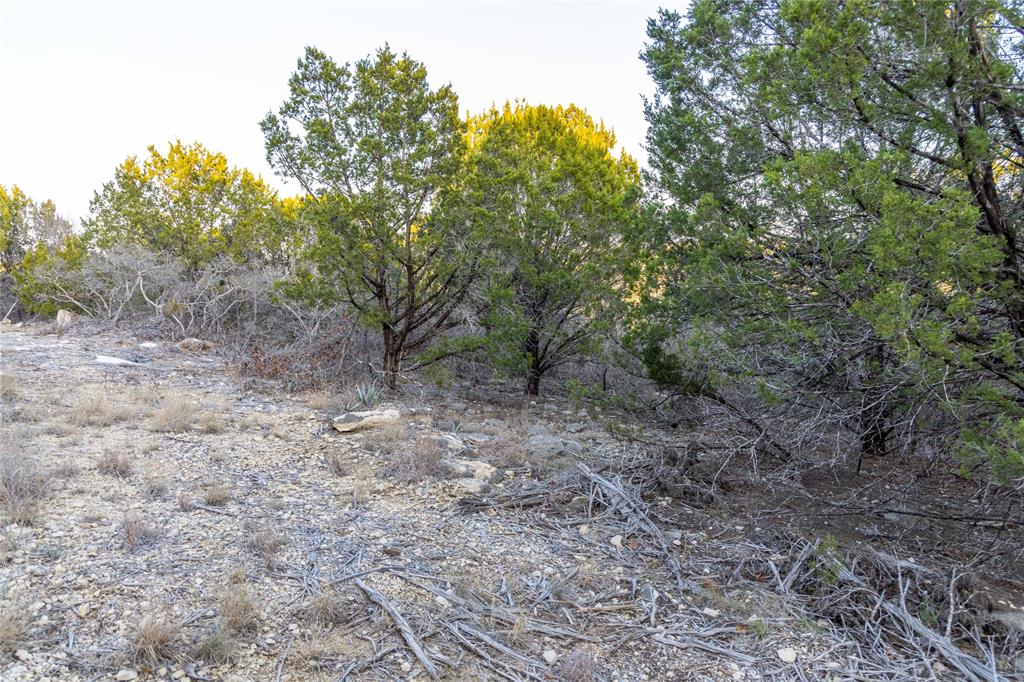 4655 Skyline Property Photo 25