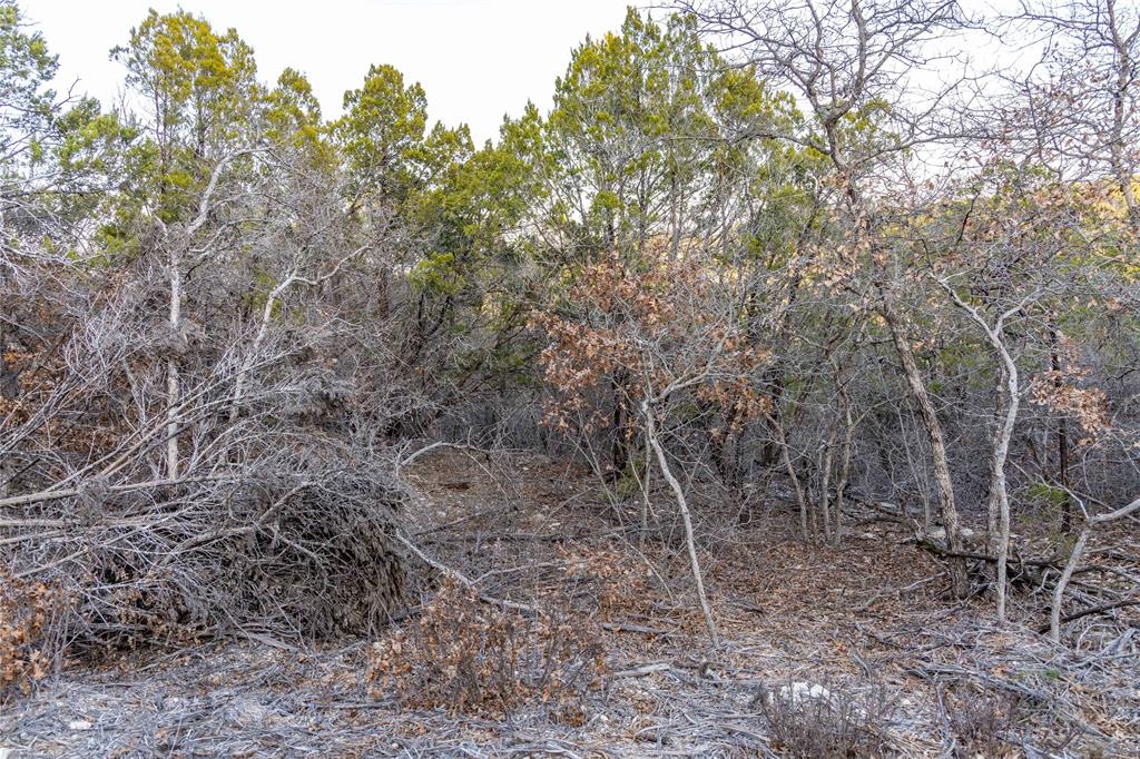 4655 Skyline Property Photo 26
