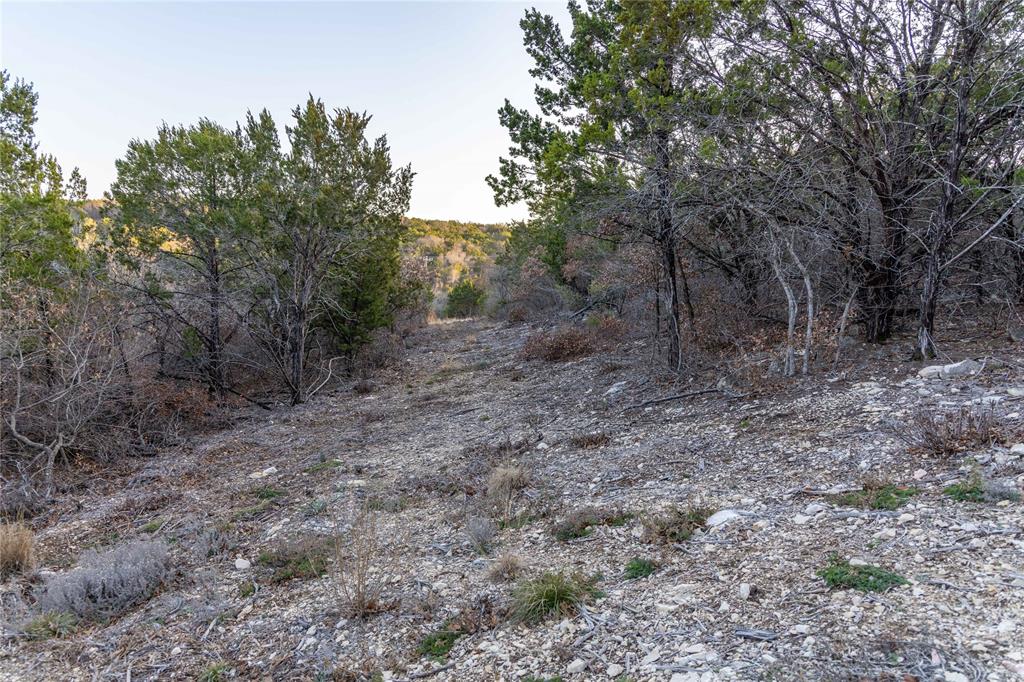 4655 Skyline Property Photo 27