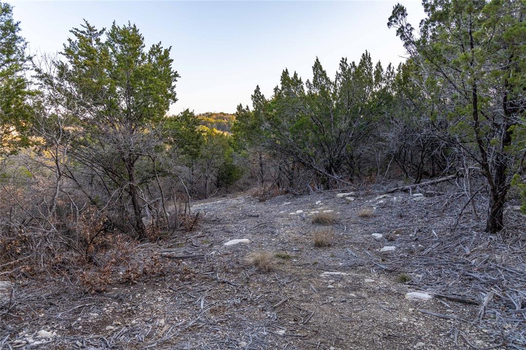 4655 Skyline Property Photo 29