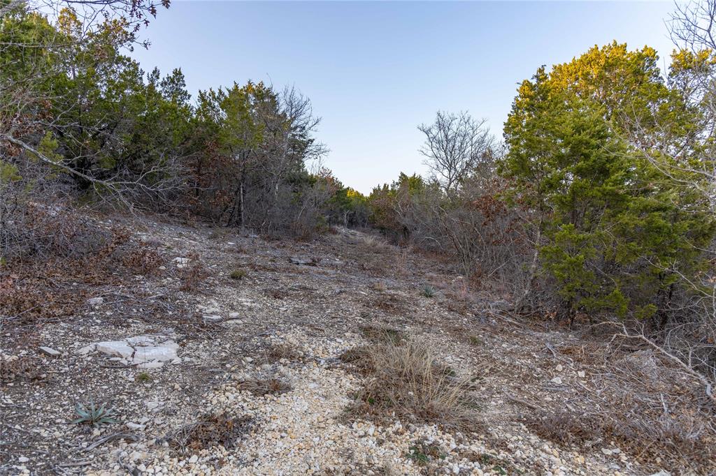 4655 Skyline Property Photo 30