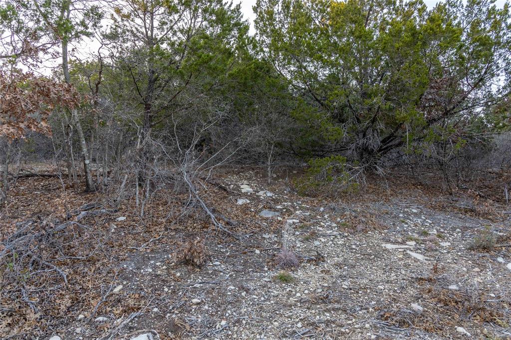 4655 Skyline Property Photo 31