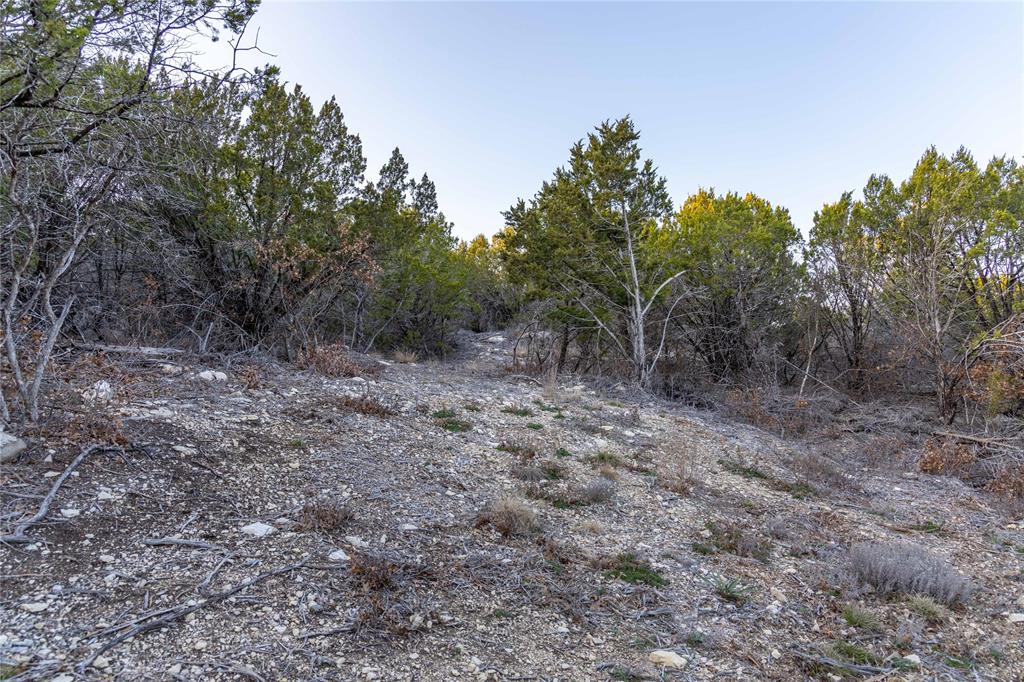 4655 Skyline Property Photo 32