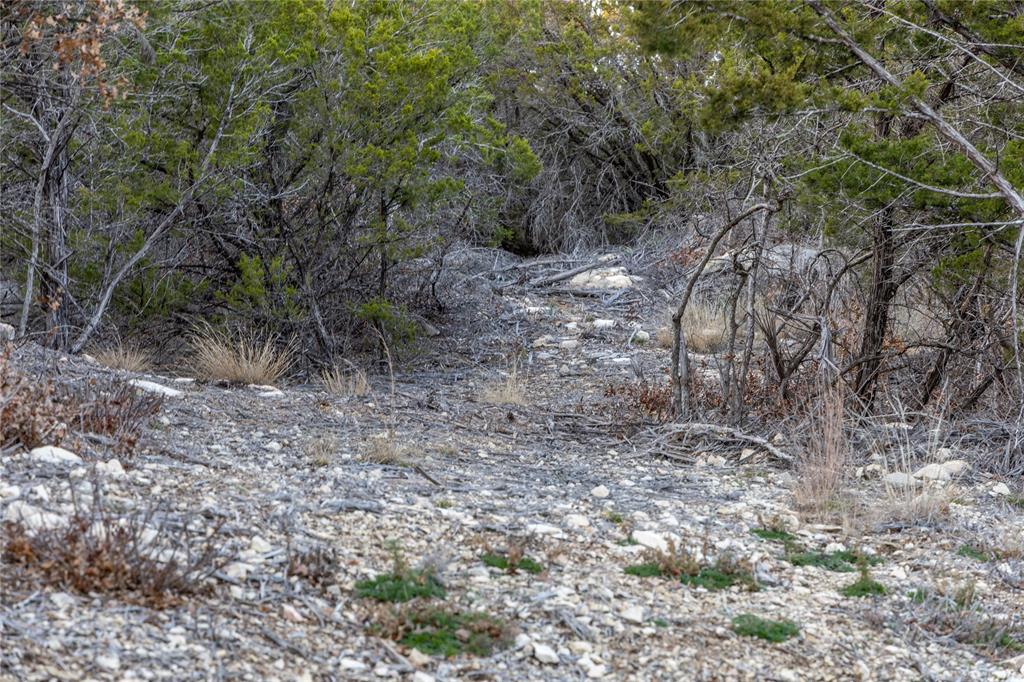 4655 Skyline Property Photo 33