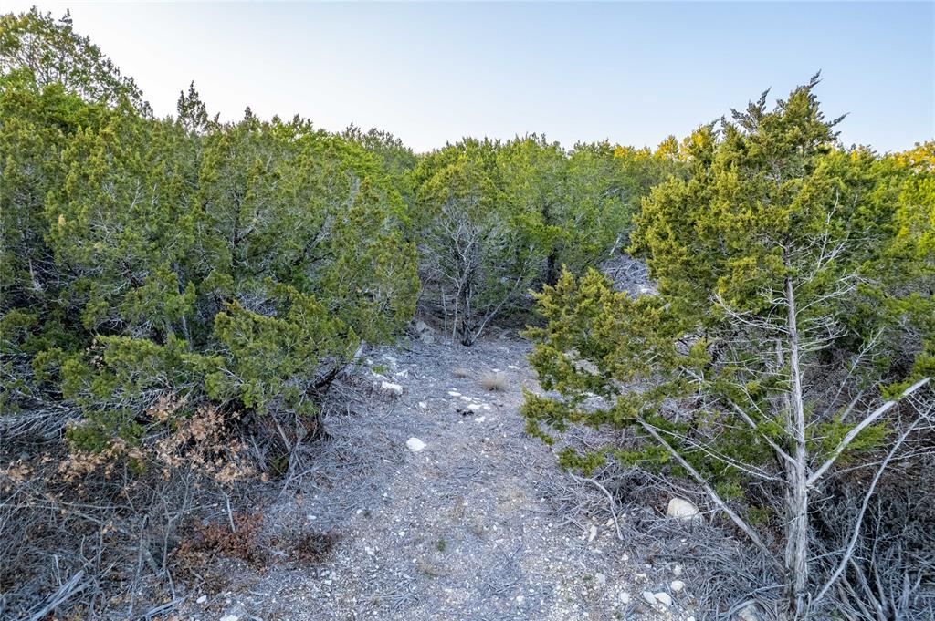4655 Skyline Property Photo 39