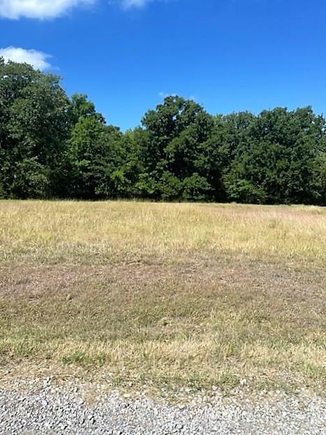14046 Whatley Drive Property Photo 1