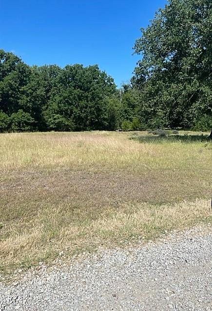 14046 Whatley Drive Property Photo 2