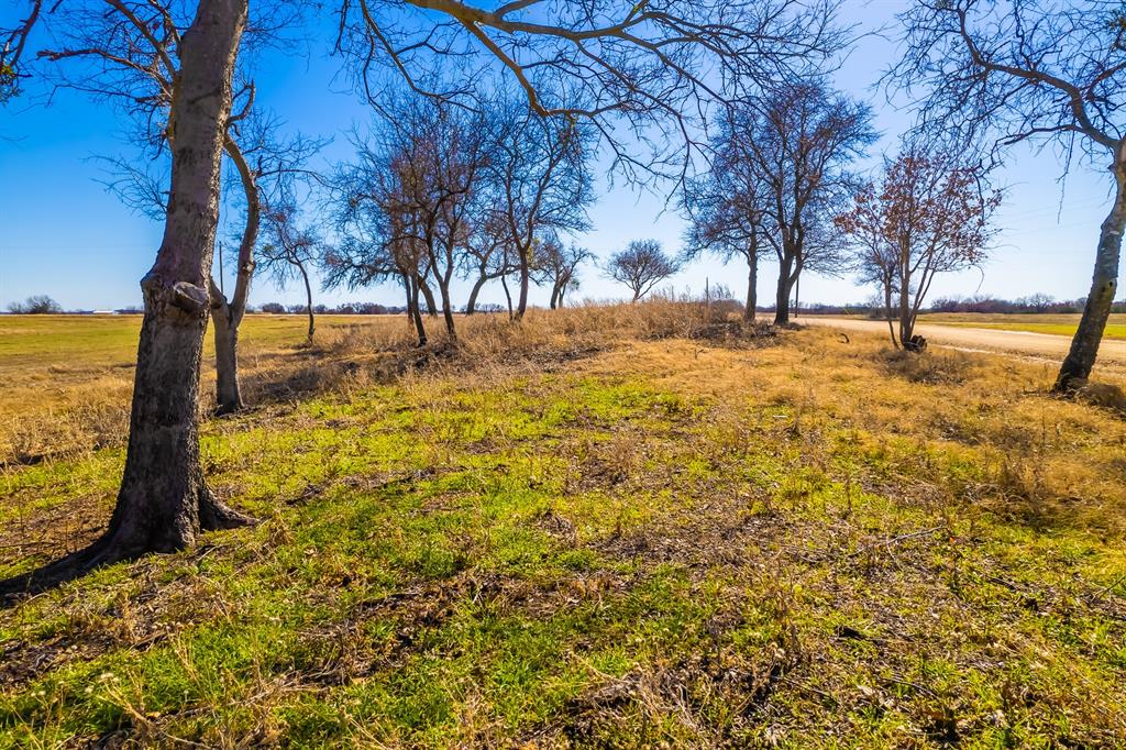 2607 Freedom Court Property Photo 5
