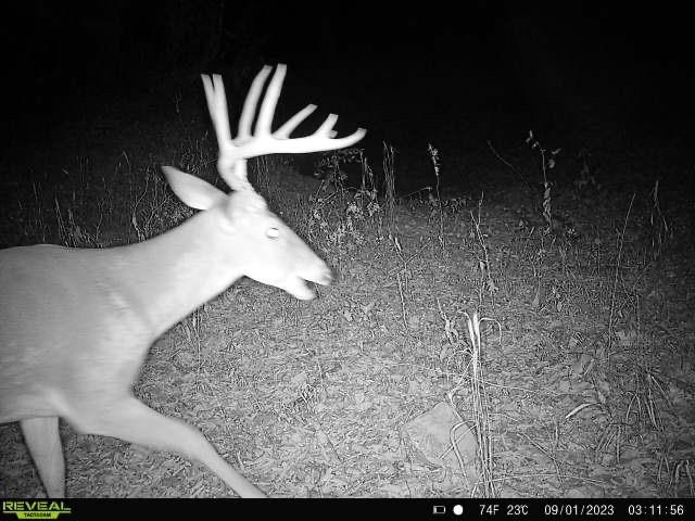 432 Acres Slickum Slough Road Property Photo 5