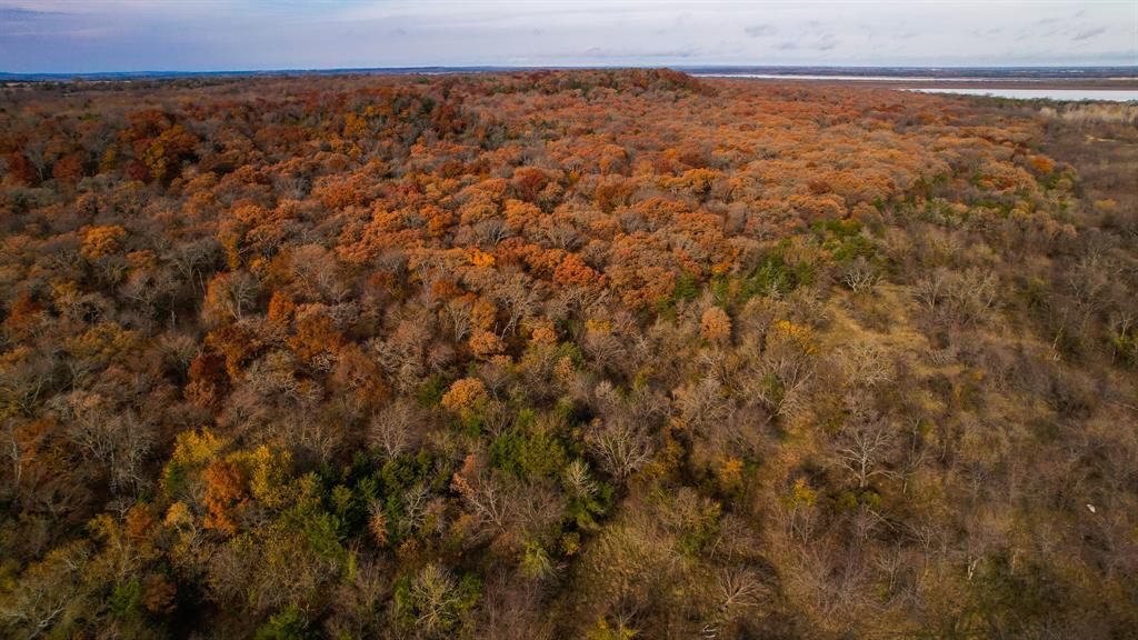 432 Acres Slickum Slough Road Property Photo 9
