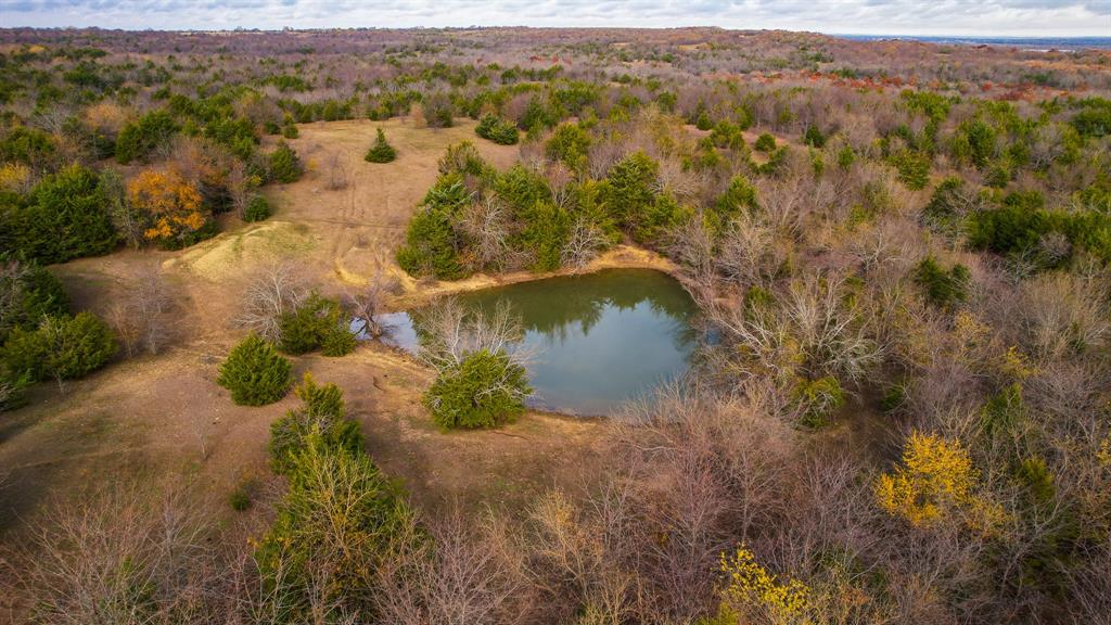 432 Acres Slickum Slough Road Property Photo 14