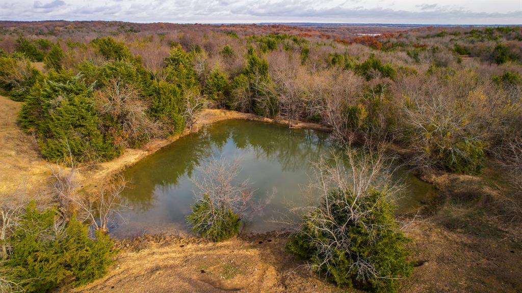 432 Acres Slickum Slough Road Property Photo 16