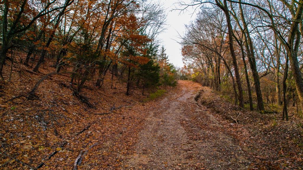 432 Acres Slickum Slough Road Property Photo 25