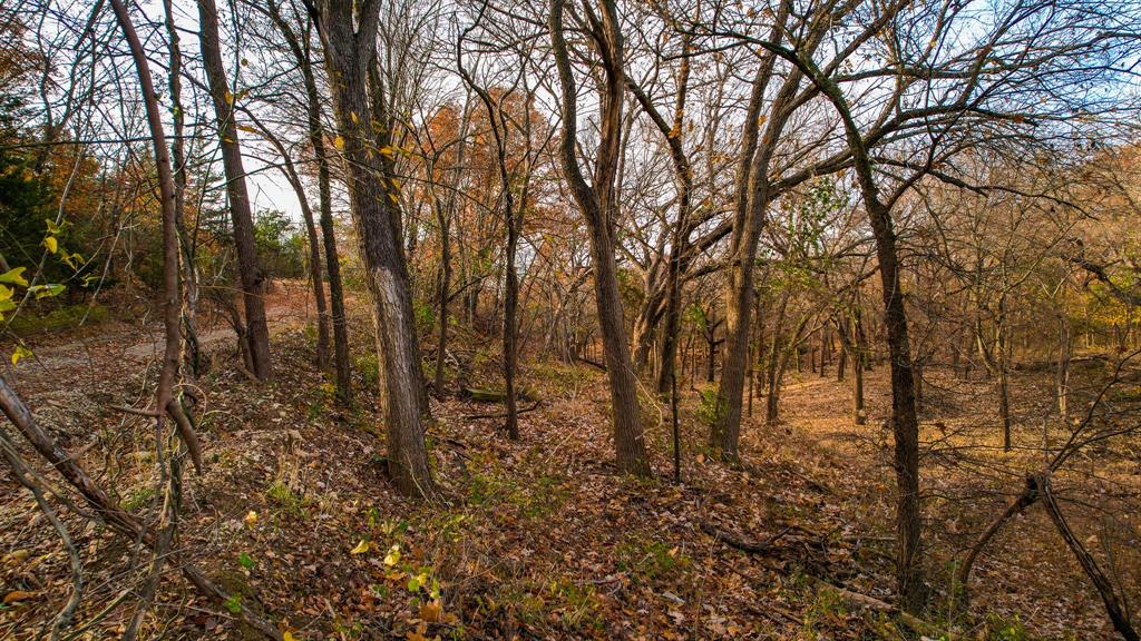 432 Acres Slickum Slough Road Property Photo 26