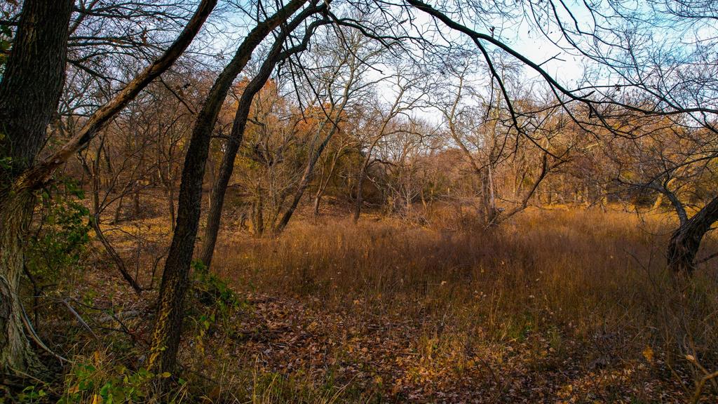 432 Acres Slickum Slough Road Property Photo 27