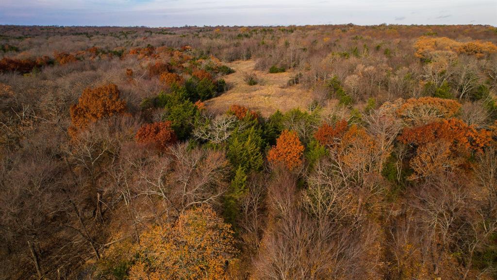 432 Acres Slickum Slough Road Property Photo 28