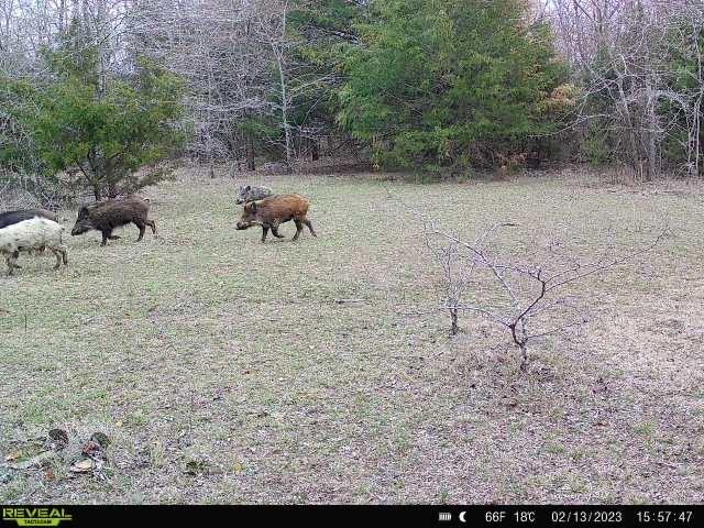 432 Acres Slickum Slough Road Property Photo 37