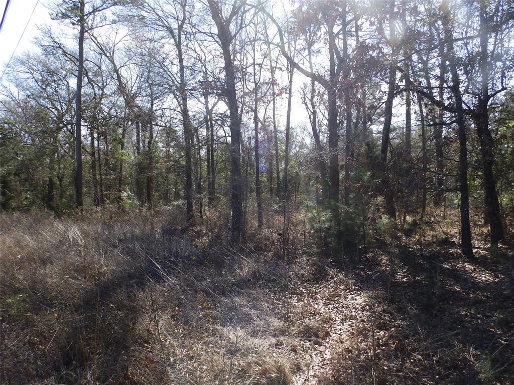 20175 Hwy 155 Property Photo 35