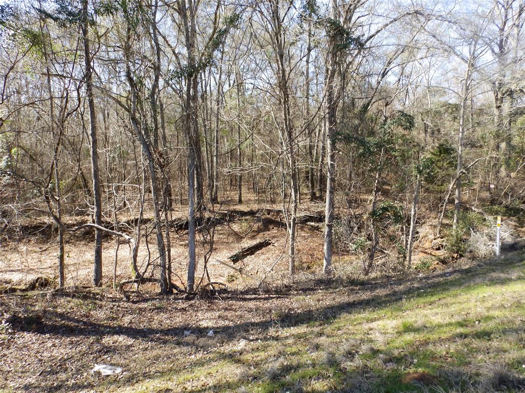 20175 Hwy 155 Property Photo 37