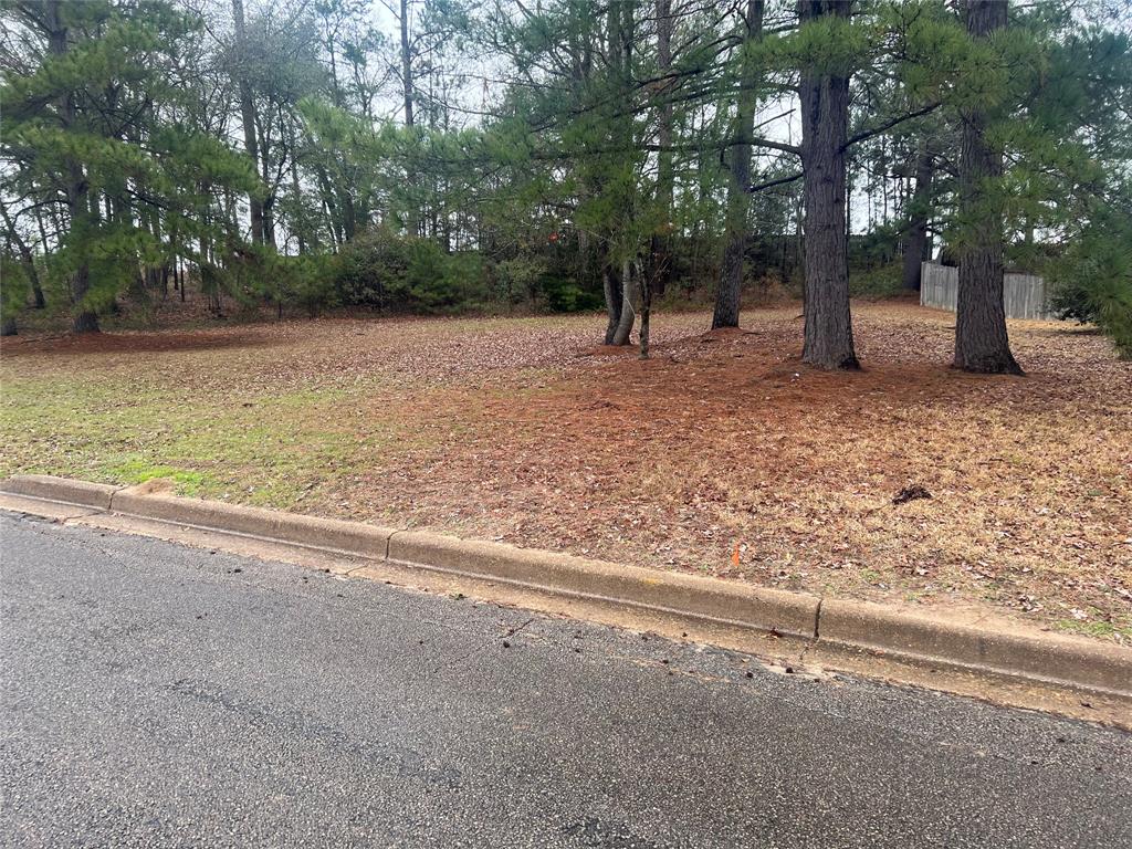 104 Wesley Drive Property Photo 4