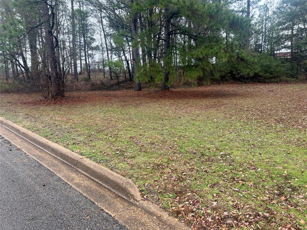 104 Wesley Drive Property Photo 6
