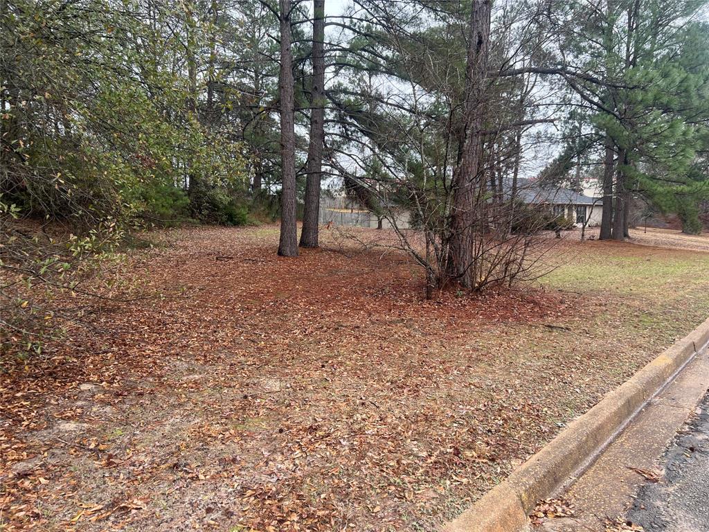 104 Wesley Drive Property Photo 8