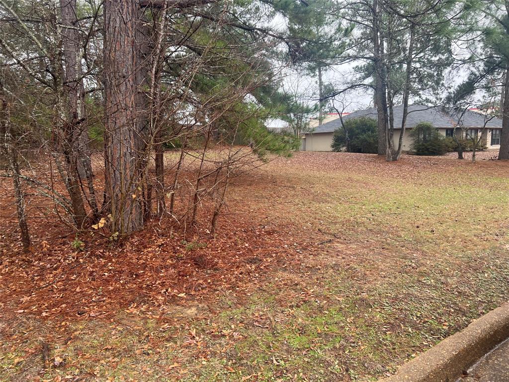 104 Wesley Drive Property Photo 9
