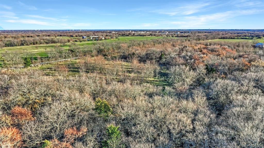 Tbd 87 Acres Reynolds Lane Property Photo 1