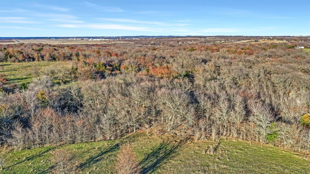 Tbd 87 Acres Reynolds Lane Property Photo 2