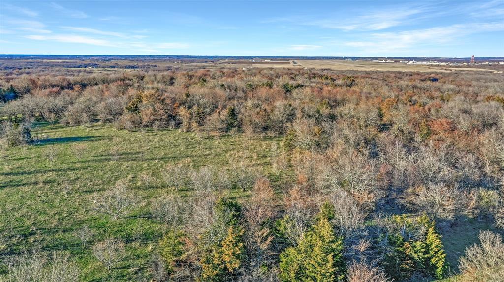 Tbd 87 Acres Reynolds Lane Property Photo 3
