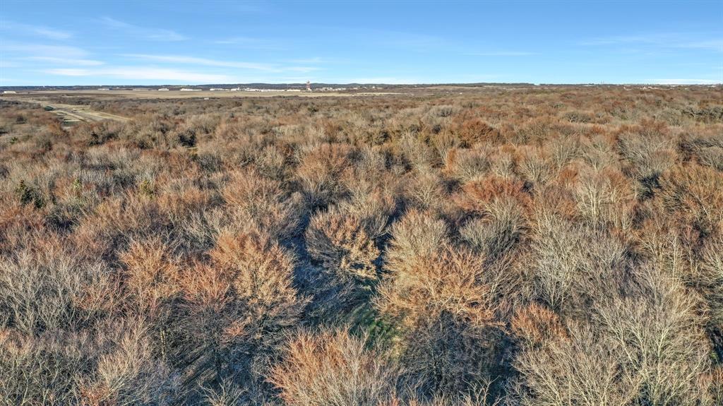 Tbd 87 Acres Reynolds Lane Property Photo 6