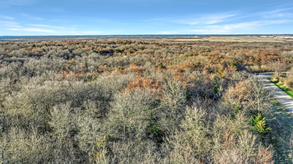 Tbd 87 Acres Reynolds Lane Property Photo 8