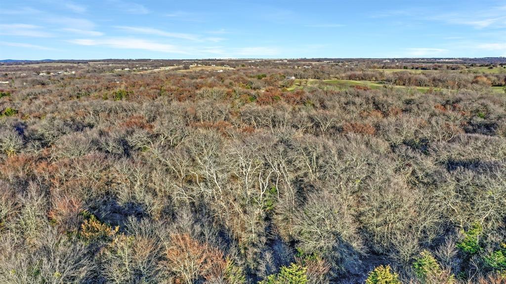 Tbd 87 Acres Reynolds Lane Property Photo 10